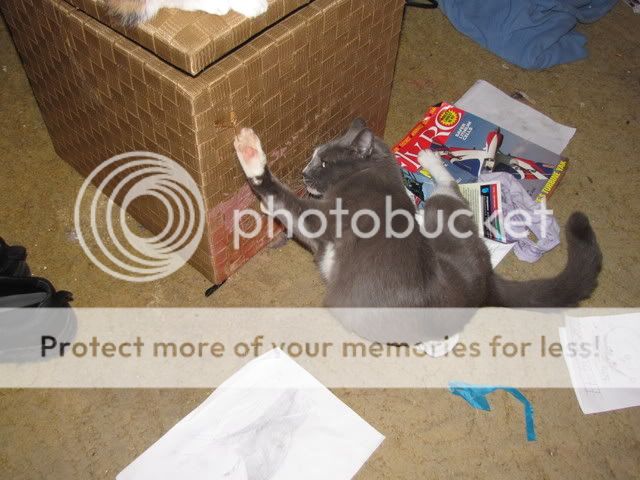 feb52008030.jpg