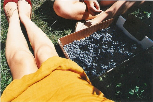 tumblr_m00eleeKMX1rq6opho1_500.jpg