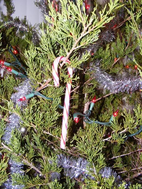 CBChristmas010.jpg