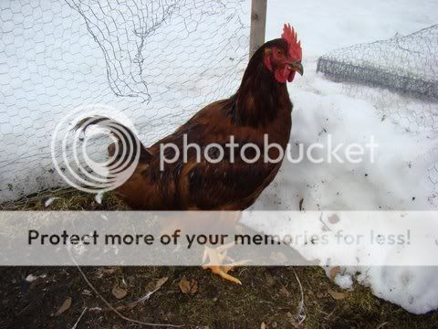 DSC06834.jpg