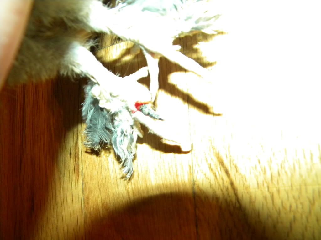 DSCN9260.jpg