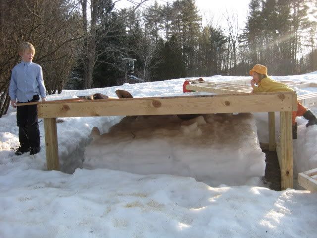 Chickens047.jpg