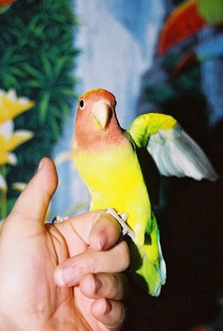 04-04-05Margalo.jpg