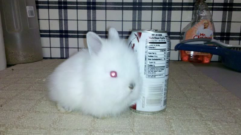 2011-09-26_00-41-23_995.jpg
