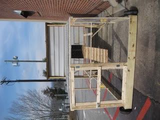 pics045.jpg