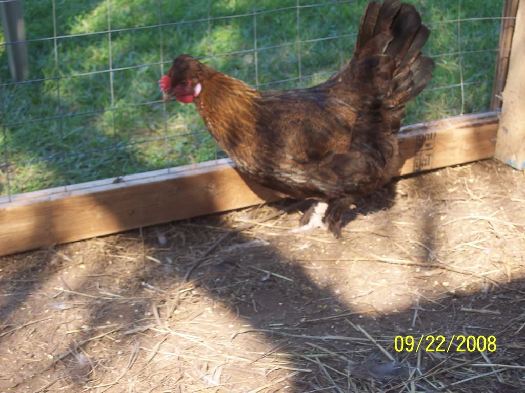 100_2743.jpg