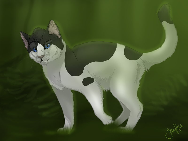 crowfrost_of_shadowclan_by_xxmoonwish-d4knrgn.png