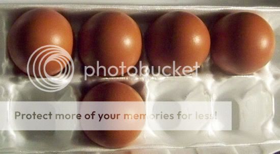 CuckooMaransEggs-TuttleCG.jpg