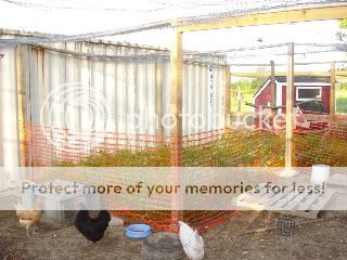 chickenherbs1.jpg