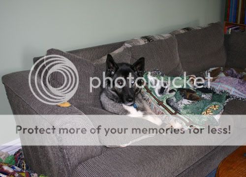 IMG_0822.jpg