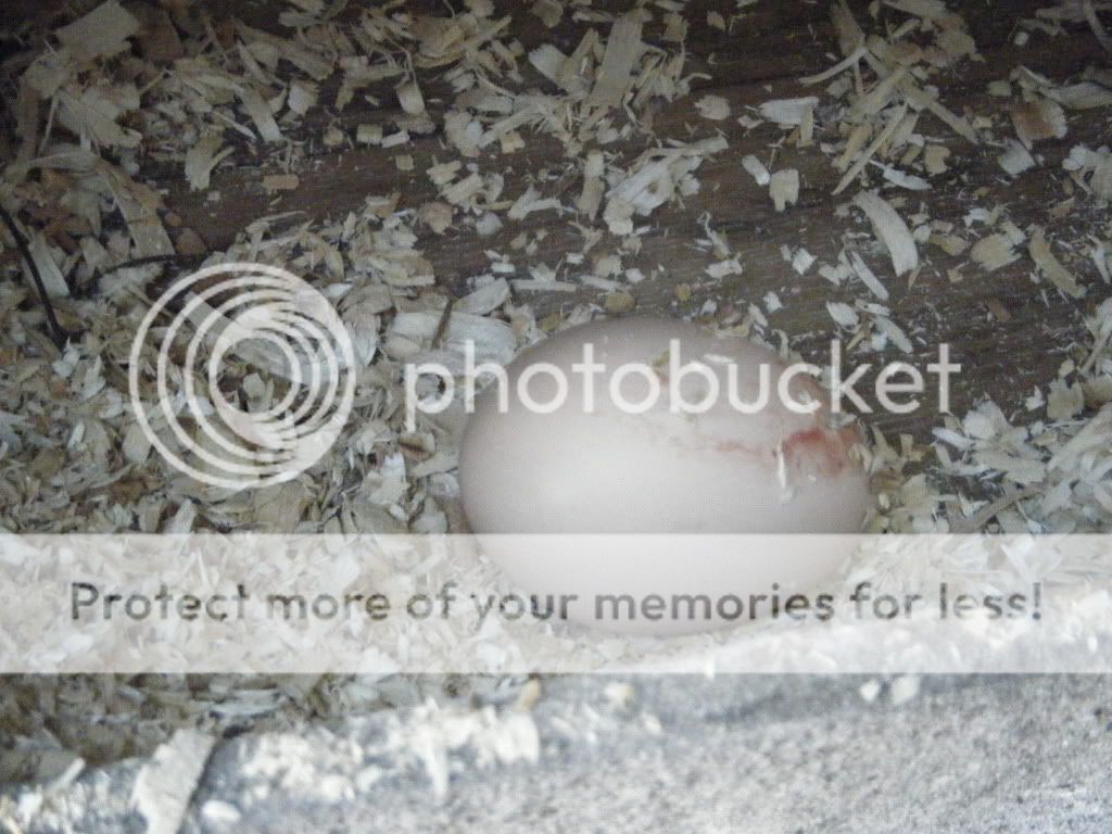 DSCF5357.jpg