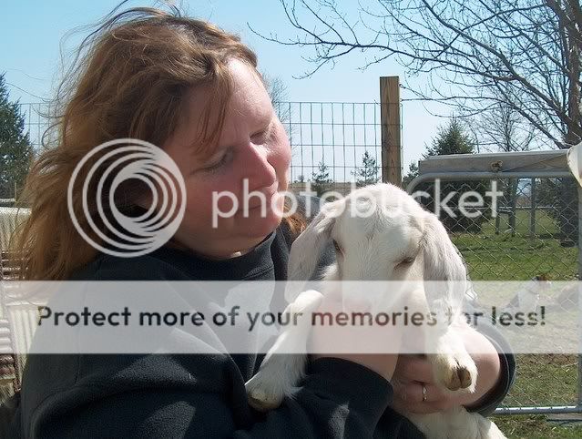 goatdayonthebellfarm026.jpg