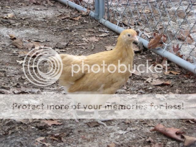 IMG_0322.jpg