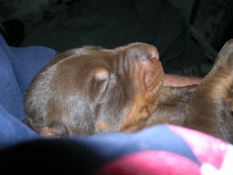 DSCN0860.jpg