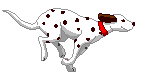 Moving-animated-dalmation-running.gif