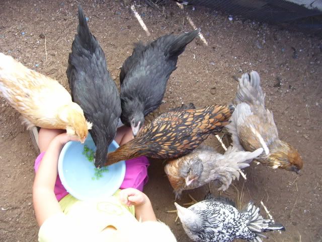 100_2186.jpg