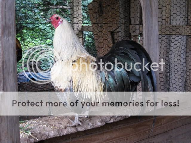 IMG_1228.jpg
