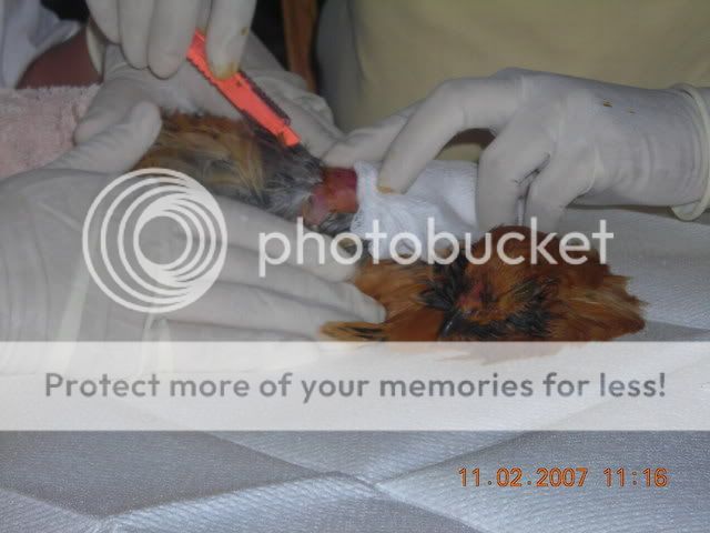 DSCN1268.jpg