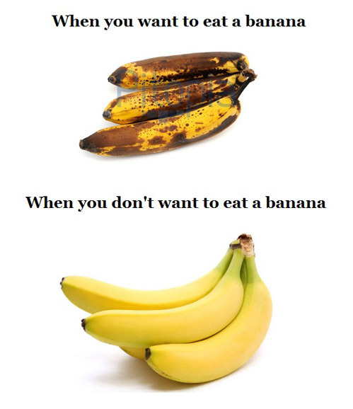 tumblr_m09lqpEaU61qewacoo1_500.jpg