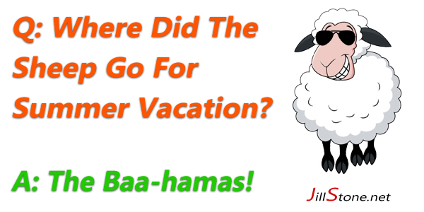 Sheep-Vacation.jpg