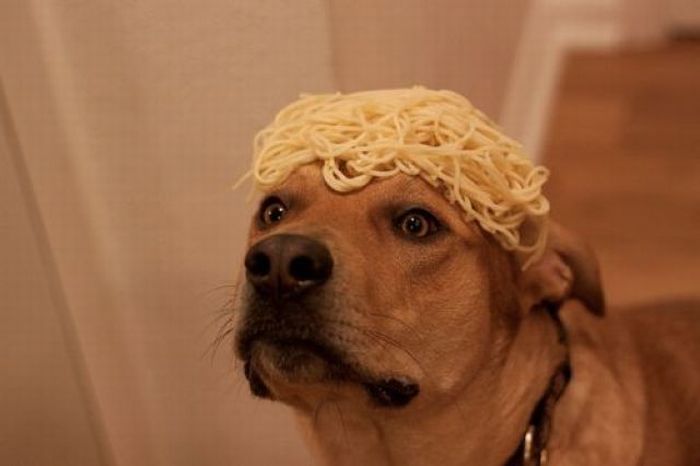 acid_picdump_101.jpg