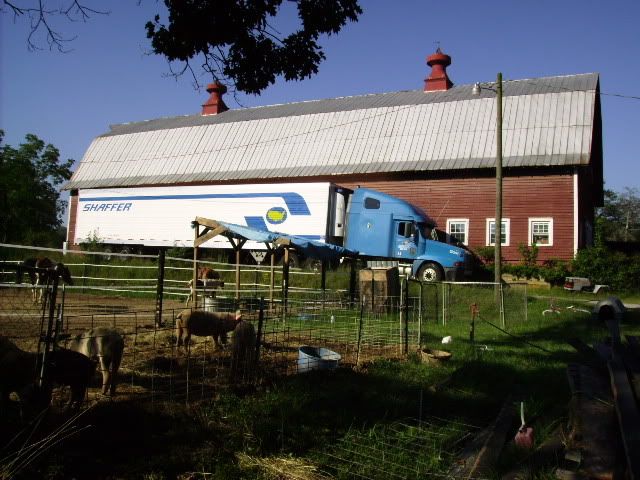 PICT0007.jpg