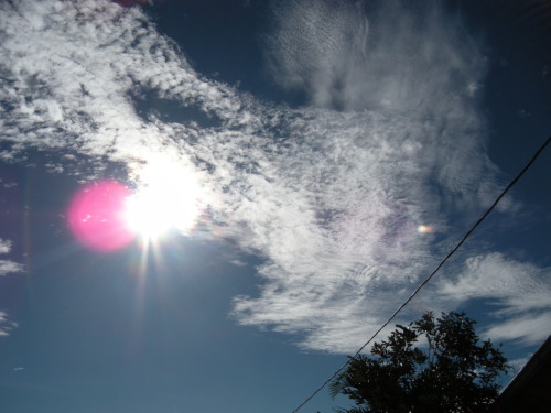 tumblr_m05jtp0kxl1qaa6bfo1_500.jpg