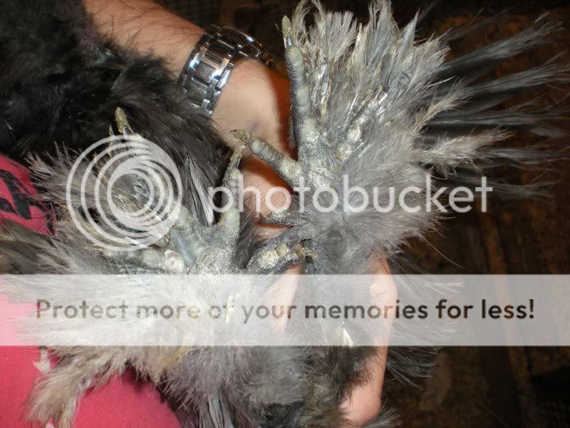 DSCN5126.jpg