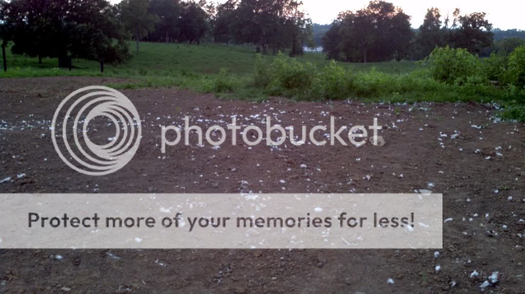 2011-07-25_20-56-08_958.jpg