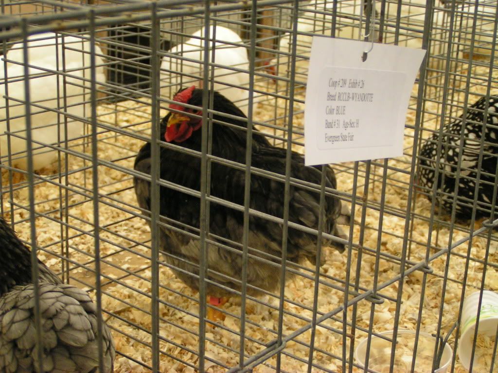 PICT0475.jpg