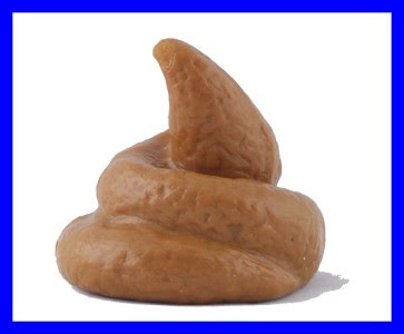 fake+poop.jpg