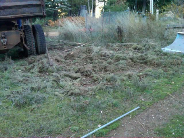 IMG02542-20111203-1623.jpg