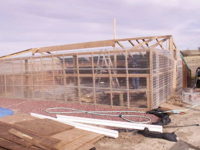 duckhouse009.jpg