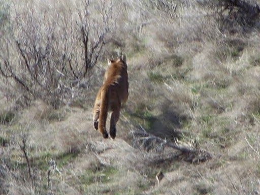 100_3697.jpg
