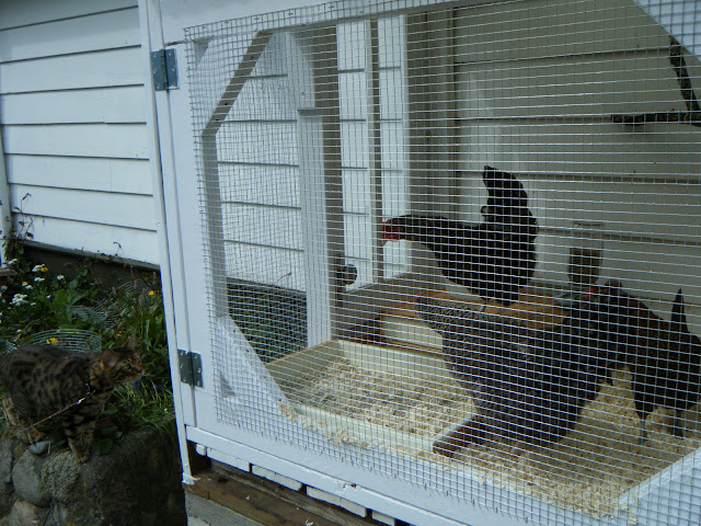 DSCF0744.jpg