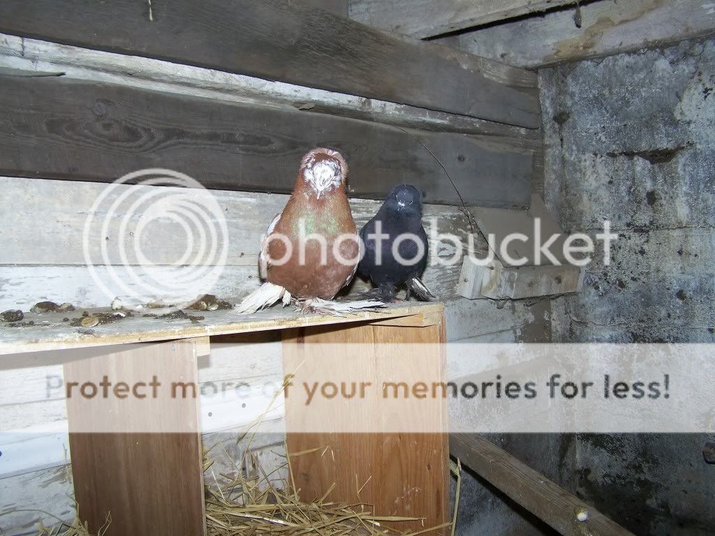 100_3363.jpg