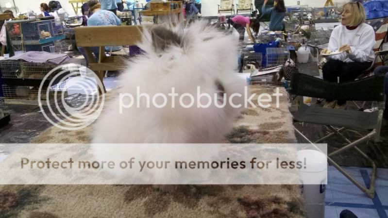 2011-12-03_13-26-25_678.jpg