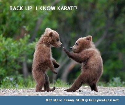 Funny-Bear-Karate.jpg