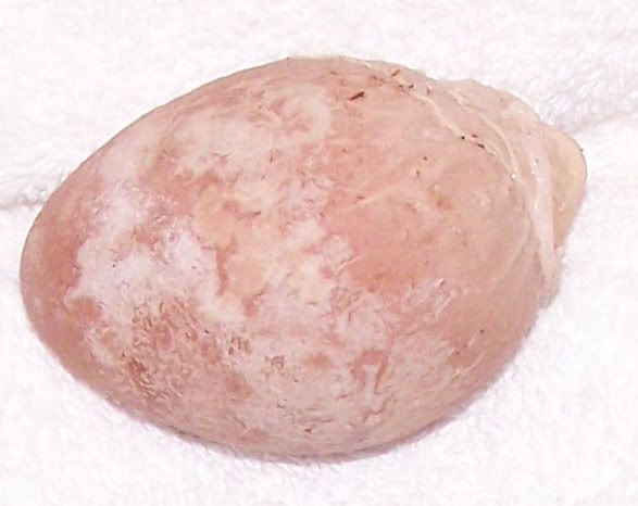 100_2109.jpg