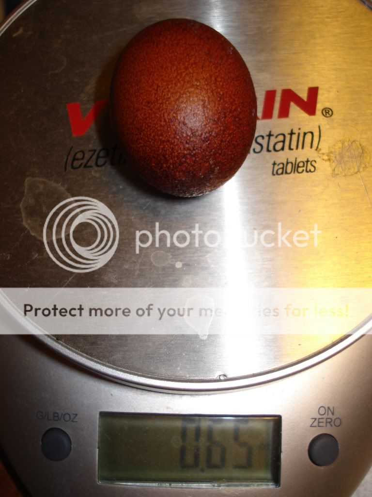 1stBevpulletegg-onscale.jpg