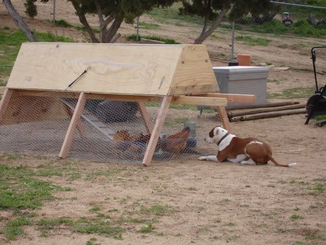 DSC05085.jpg