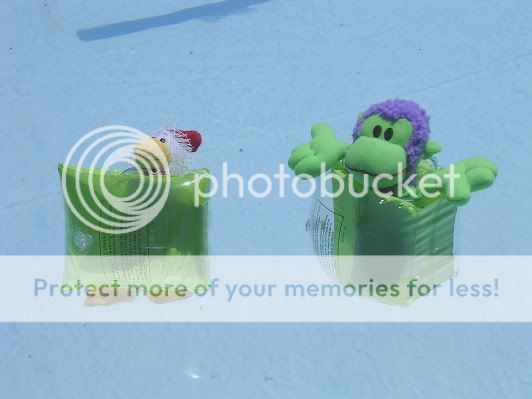 Swimmie1.jpg