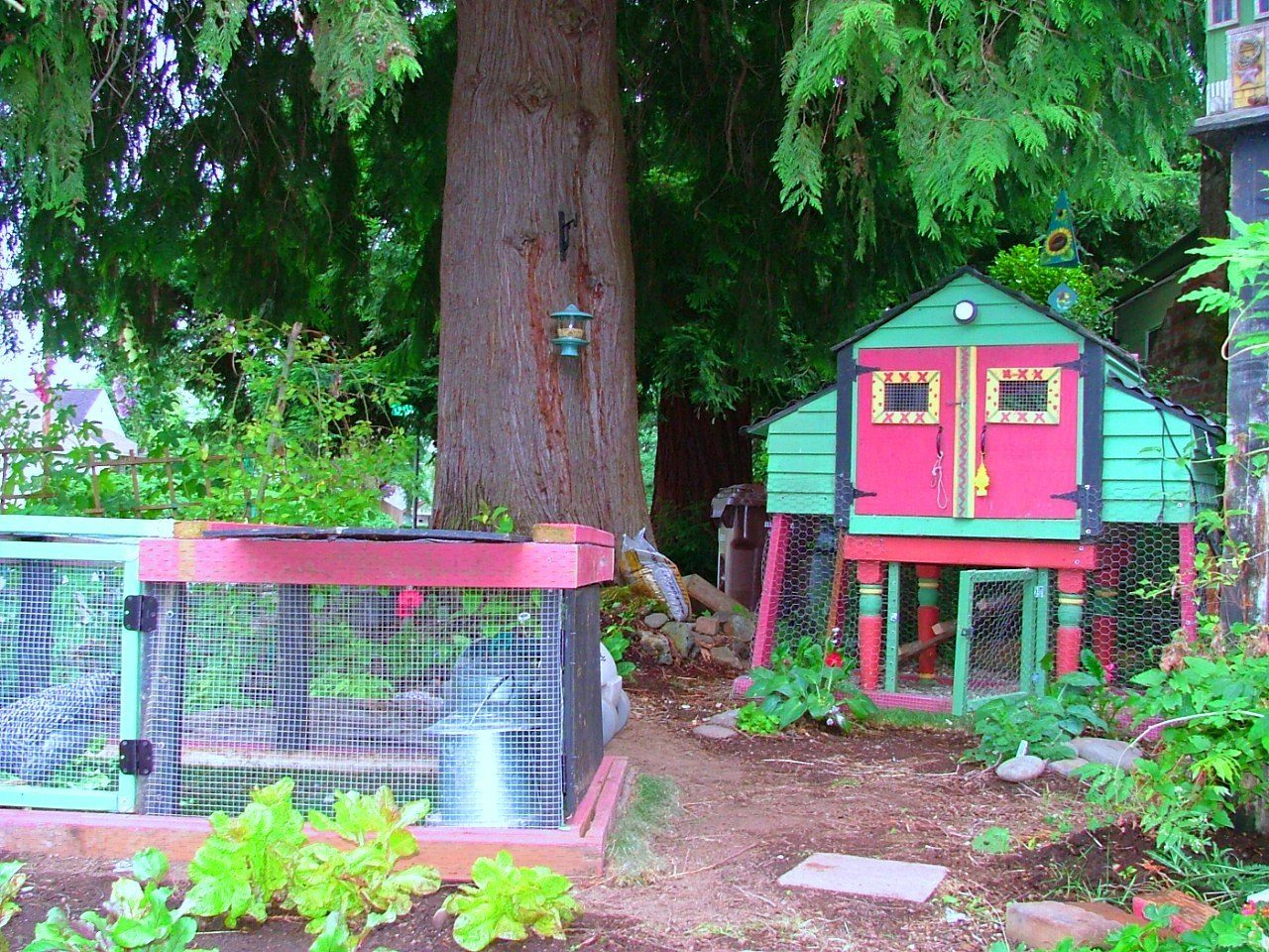 have you ever loved your coop so much that when you moved