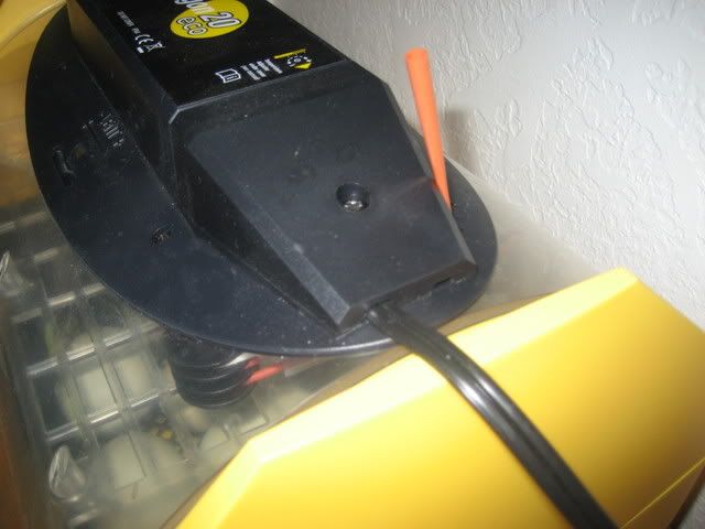 IMG_5507.jpg