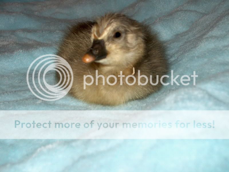 IM002253.jpg