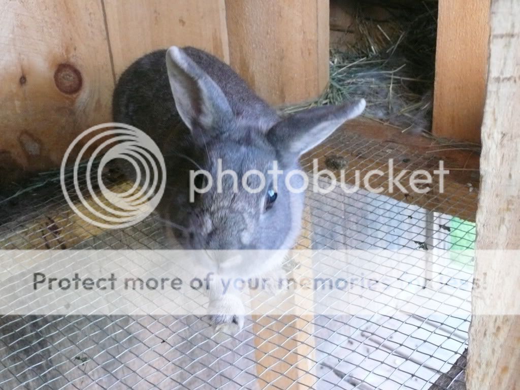 Picture012.jpg