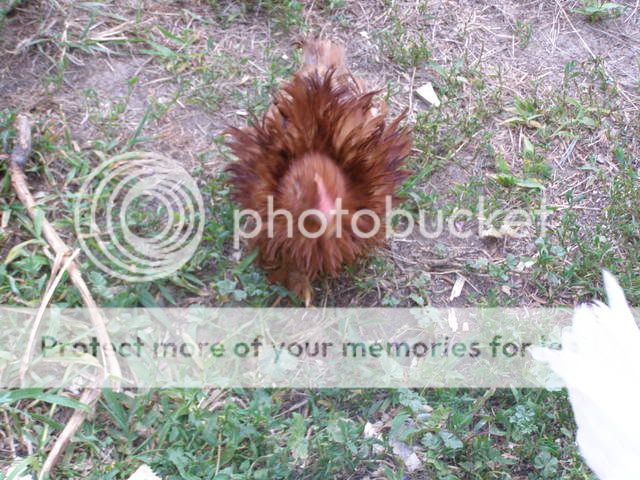 20080713_65.jpg