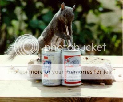 beer-squirrel-fp.jpg