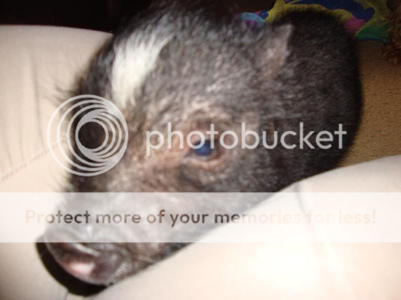 DSC01294.jpg