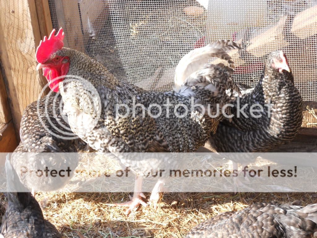 DSCN2858.jpg